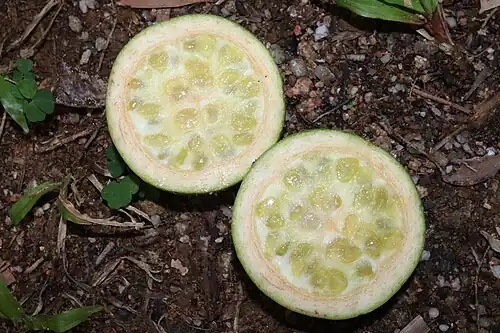 Cut fruit