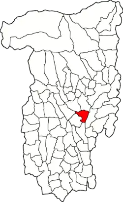 Location in Vâlcea County