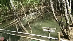 A bamboo and net enclosure surrounding shallow tree-filled water