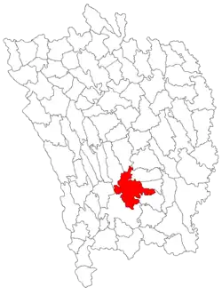 Location in Vaslui County