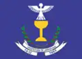 Flag of Jaraguari