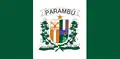 Flag of Parambu