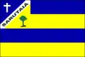 Flag of Sarutaiá