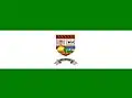 Flag of Campo Grande