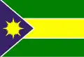 Flag of Ferreira Gomes