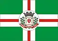 Flag of São Miguel do Oeste
