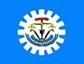 Flag of Santa Rita do Araguaia