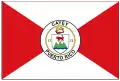 Flag of Cayey