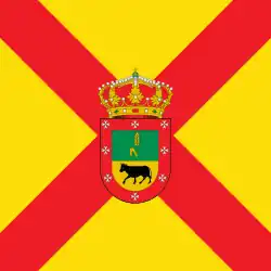 Flag of Paradinas de San Juan