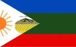 Flag of Yaritagua