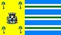 Flag of Pinhalzinho