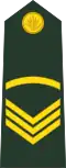 Sergeant (Bengali: সার্জেন্ট, romanized:&nbsp;Sārjēnṭa) (Bangladesh Army)[42]
