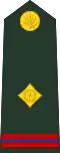 Warrant officer (Bengali: ওয়ারেন্ট অফিসার, romanized:&nbsp;Ōẏārēnṭa aphisāra) (Bangladesh Army)[56]