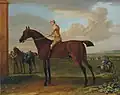 Bay Wanton, on Newmarket Heath with jockey up, 1725, by John Wootton, possibly a son of Bay Bolton and inscribed (but possibly not) 'The property of Charles Paulett, 3rd Duke of Bolton'.