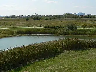 Marsh with Boston skyline in the distance