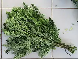 Moringa leaves (Ilo: Marunggay or Tlg: Malungay)