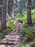 Mountain trail leading to the peak of Babia Góra