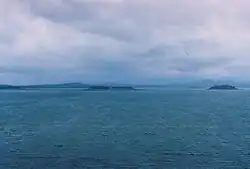 Bhadra Reservoir and River Tern Islands