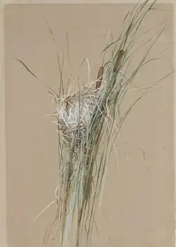Fidelia Bridges, Bird's Nest in Cattails, 1875, Metropolitan Museum of Art