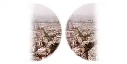 Paris as seen with bitemporal hemianopsia