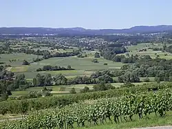 Countryside of Keltern