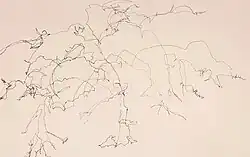 Blind Contour Drawing of a young Japanese Maple tree, 2019, K Henry-Choisser