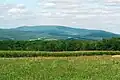 View of a distant tree-covered mountain with fields and forests in the foreground