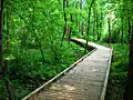A boardwalk through Conestee Nature Preserve