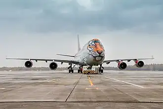 Boeing 747 of Rossiya in Tigrolet livery