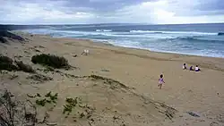 Photograph of Boggomsbaai beach, showing a few people on the sandy shore
