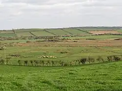 Bogland in the Ballydargan River valley (2012)
