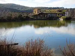 A lake surrounded by grasses and bushes, with an abandoned village overgrown with vegetation.