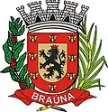 Coat of arms of Braúna