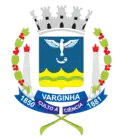 Official seal of Varginha