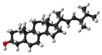 Ball-and-stick model of brassicasterol