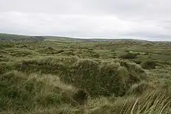 Braunton Burrows in Devon