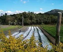 Dom Orione, a small agricultural community of 39 homes situated 10 minutes from Betim, the site of one of Project Gaia Inc.'s Brazilian pilot studies.