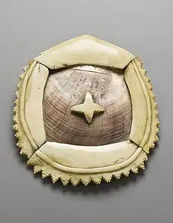 Breast Ornament (civa vonovono); c. 1850; whale ivory, pearl shell and fiber; height: 12.7 centimetres (5.0&nbsp;in), diameter: 17.78 centimetres (7.00&nbsp;in); from Fiji; Los Angeles County Museum of Art