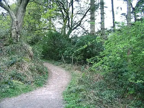 Bridle path adjacent to Craig-y-nos Country Park