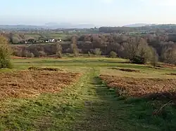 Bringsty Common in the autumn