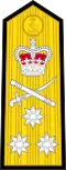 Shoulder board