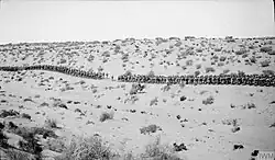 Line of soldiers marching across a desert