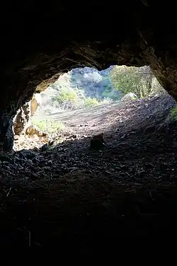 A view looking outwards from inside the cave