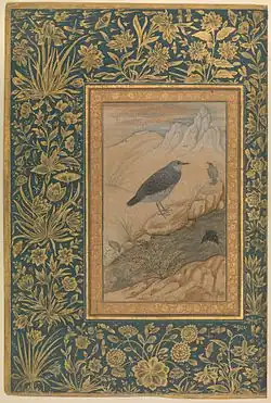 Brown dipper (c. 1620) by Mughal painter Ustad Mansur
