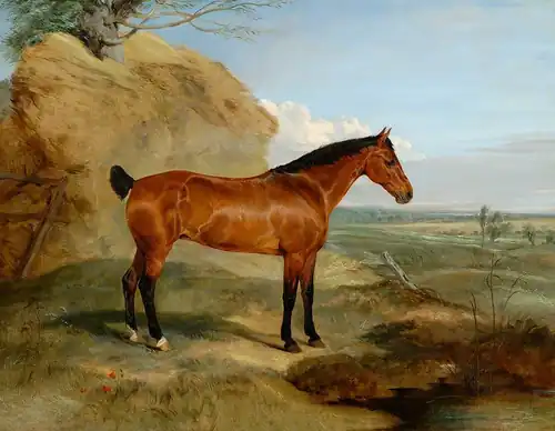 Brunette by Edwin Landseer