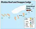 Buoys at Pickles Reef and Snapper Ledge