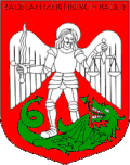 Coat of arms of Radlje ob Dravi