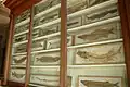 Cabinet 2 with fish fossils, the personal specialty of Winkler
