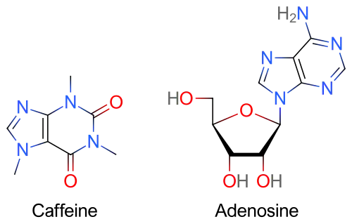 Two skeletal formulas: left&nbsp;– caffeine, right&nbsp;– adenosine.