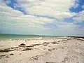 Caladesi Park's beach on the Gulf of Mexico, strewn with seaweed
